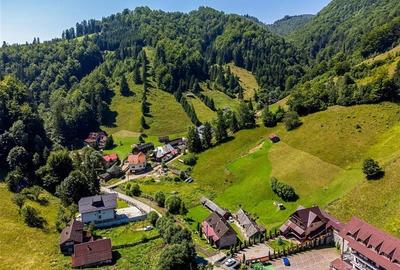 Oaza rustica: Case si teren generos de 9.400 mp in Dambovicioara, Arges Oaza rustica: Case si teren generos de 9.400 mp in Dambovicioara, Arges - 24