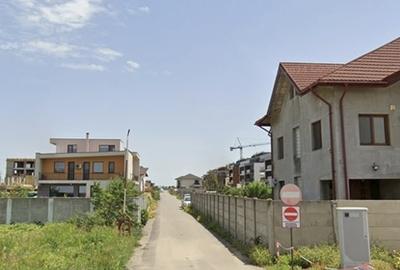 Theodor Pallady, Gura Calitei - 2