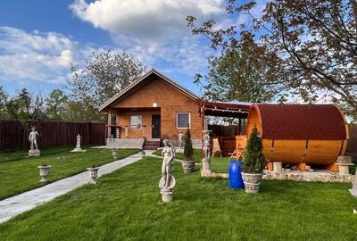 Proprietate specială, de 850 mp, în Poiana (Schitu Duca) - 3