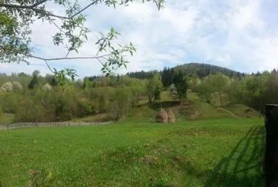 Teren de 21784 mp, în Vama