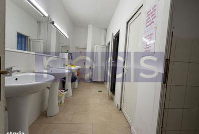 Casă cu 8 camere cu Canalizare în Plevnei - 13