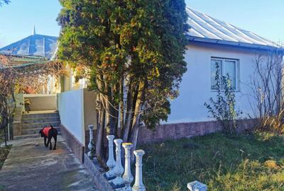 Casă cu 4 camere în Valea Mare-Pravăț - 1