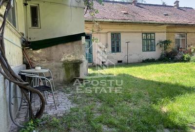 Apartament cu 2 camere, parter, curte, zona Piata Maria - 8