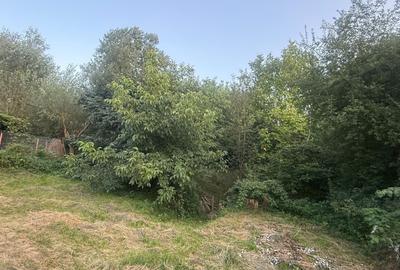 Teren de 1700 mp, în Lerești - 8