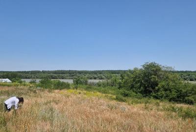 MAHMUDIA-TERENURI SI CASE - 12