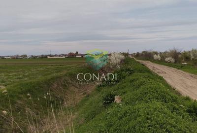 Teren Construcții intravilan de 19330 mp, în Tărtășești - 3