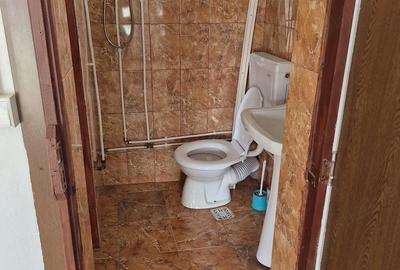Spațiu comercial, de 30 mp, în Ștefănești - 1