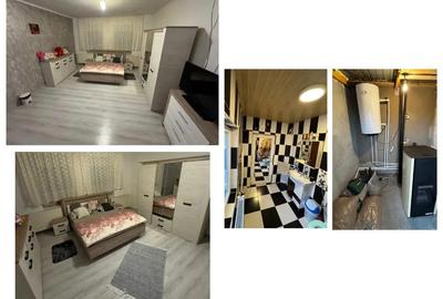 Vand casa in chisineu cris jud arad (Padureni) - 3