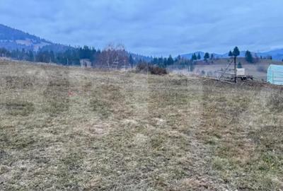 Teren de 2500 mp, în Colibița - 2