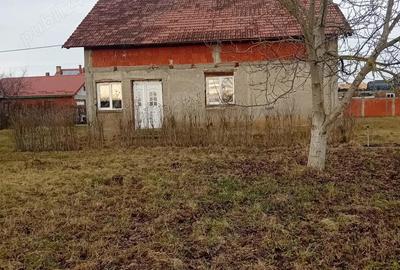 Casă cu Teren 2000 Mp în Micula - 3