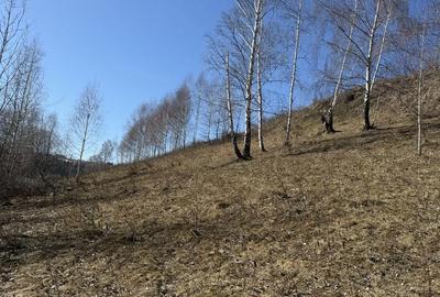 Spațiu comercial, în Mărișel - 5