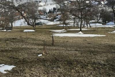 Spațiu comercial, în Moieciu - 4