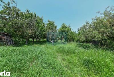 Casă cu Teren 4015 Mp în Tureni - 1