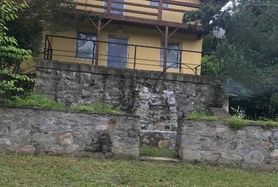 Casă de vacanță în stațiunea  Valiug - 1