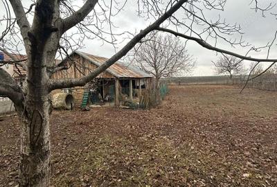 Casa de vanzare schimb Corabia , langa Dunare - 3