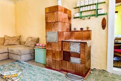 FILM! Doua case+anexe,rezidential/ comercial/de vacanta,Zagon,Covasna - 9