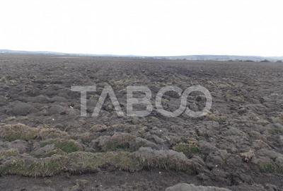 Teren de 10000 mp, în Industrial Vest