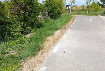 Teren de 1000 mp, în Nămoloasa - 3