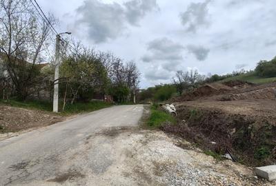 Teren intravilan de vanzare - Strada Soarelui, Oradea - 3