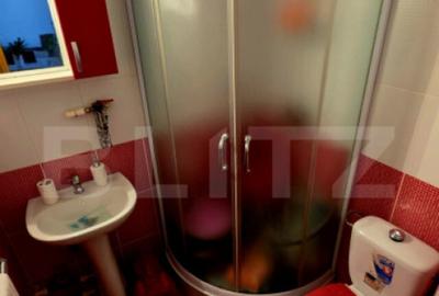 Apartament spa?ios, de vanzare, cu 4 camere, zona Han - 22