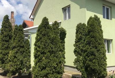 Casă cu 4 camere cu Teren 2000 Mp în Pădureni (Jebel) - 6