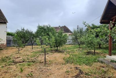 Comuna Augustin, casa deosebita, renovata integral, mobilata si utilata full!!! - 12