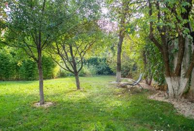 Casă cu 10 camere cu Teren 990 Mp în Sălaj - 6