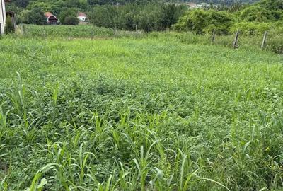 Teren Copacelu, 450mp - 5