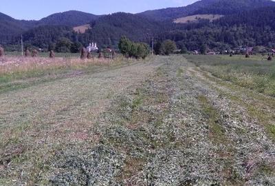 Teren de 3400 mp, în Alexandru cel Bun