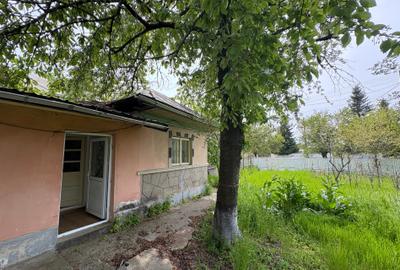 Teren intravilan de 5591 mp, în Gruiu - 5