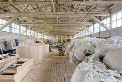 Spațiu comercial, în Agăș - 6