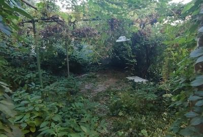 Casă individuală cu 12 camere cu Canalizare în Pache Protopopescu - 15