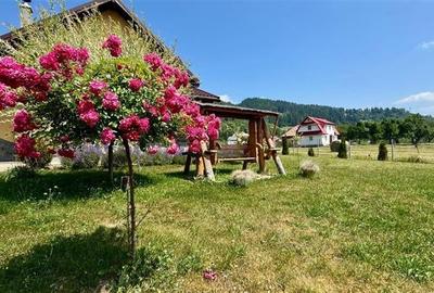 Refugiu pretios:  jacuzzi, lemn masiv, 2.000 mp teren,4 dormitoare, cuptor, inve - 12