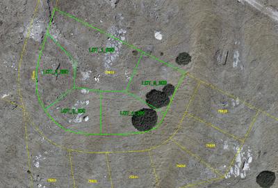 Terenuri in Bucegi, Zona Alpina Inalta, pentru dezvoltare cabane, vile turistice - 3