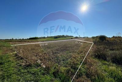 Teren Construcții intravilan de 2240 mp, în Lăpușel - 2