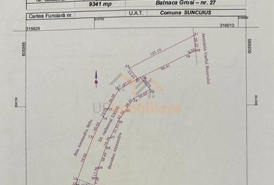 Teren de 9341 mp, în Bălnaca - 6