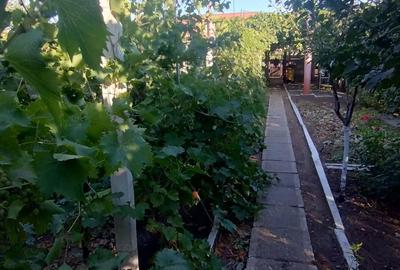 Casă cu 2 camere cu Canalizare în Palazu Mare - 5