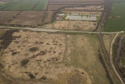 Teren extravilan in Ineu - 24