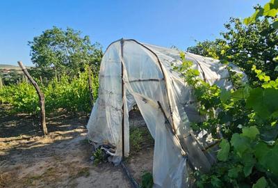 CASA SUPERBA in loc. SOMOVA jud TULCEA CASA SUPERBA in loc. SOMOVA jud TULCEA - 3