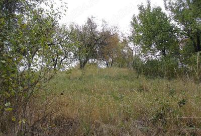 Vand proprietate in sat Selari, nr 91, comuna Valea Mare Pravat, jud Arges - 3