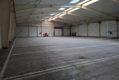 Depozit de inchiriat in suprafata de 1300mp. - 3
