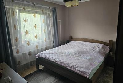 Casa pe un nivel Baia Sprie - 4