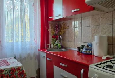 Apartament cu 3 camere decomandat în Minerul - 12