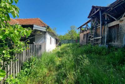 Casă cu 2 camere în Predeal - 2
