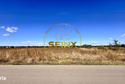 Spațiu comercial, în Corbeanca - 11