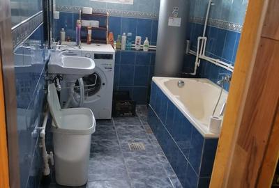 Casă cu Teren 350 Mp în Svinița - 3