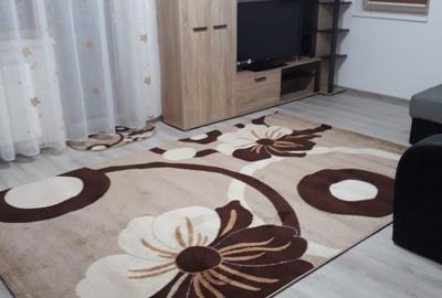 Apartament cu 2 camere decomandat în Trivale - 5