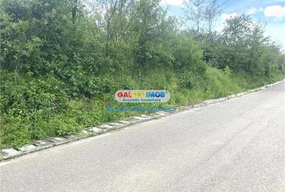 Vanzare teren intravilan Baicoi zona Tintea - 3