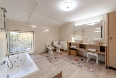 Casa cu priveliste - Stefanesti - 18