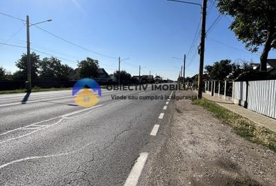 Hotel/Pensiune, de 250 mp, în Dumbrava Roșie